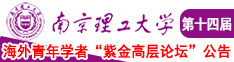 色色色肏南京理工大学第十四届海外青年学者紫金论坛诚邀海内外英才！